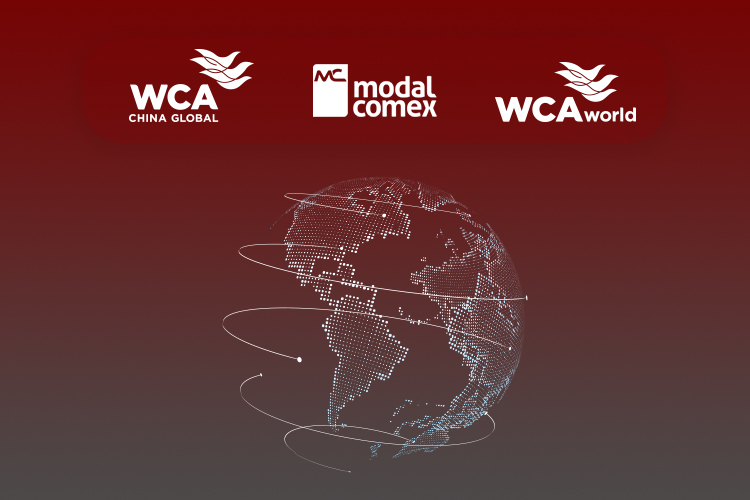 We are WCA World