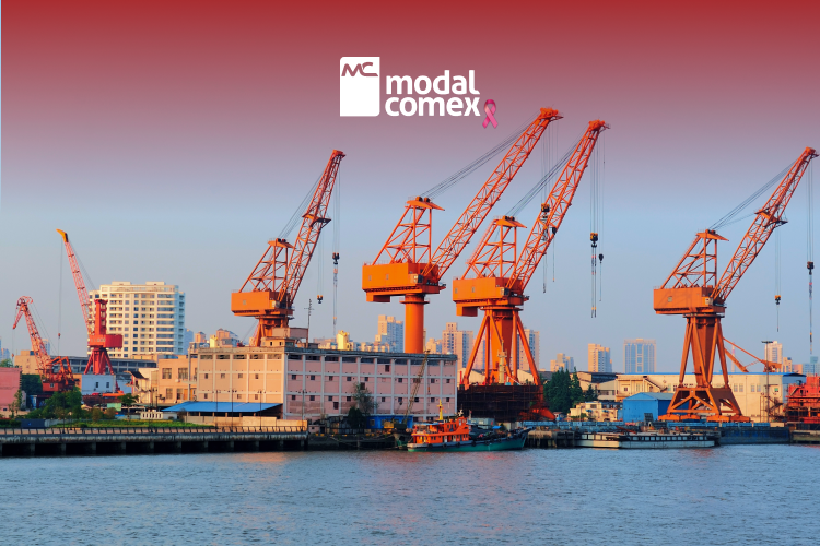 Global Logistics: The Dominant Role of Chinese Ports in World Trade