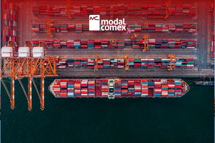 Portonave Operations Face Restrictions: Impacts on Foreign Trade and How to Prepare