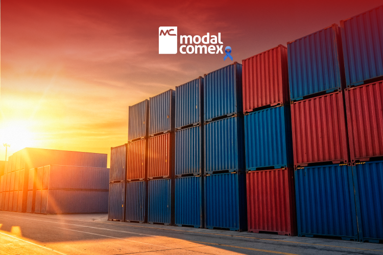 Maritime FCL Shipments: efficiency, full control, and security for large volumes