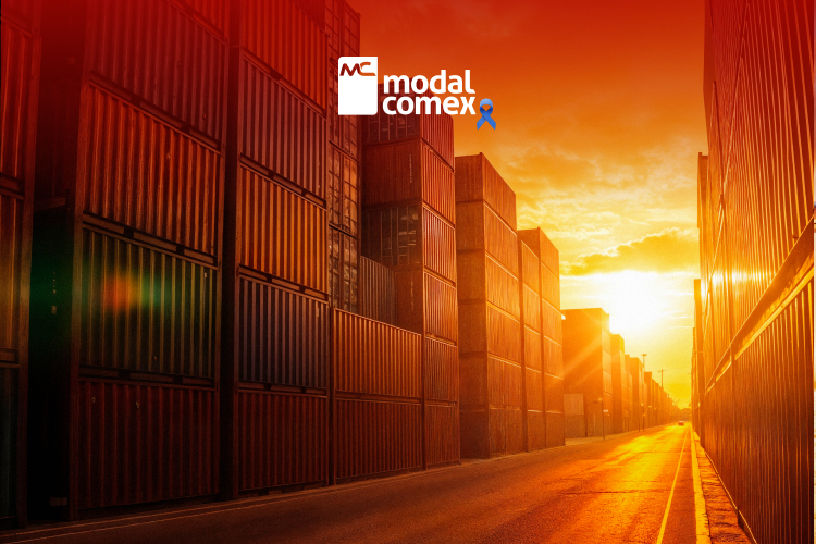 International Cargo Insurance: protection that reduces risks and ensures confidence in every shipment