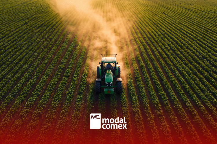 New European Union Restrictions on Steel and Soybean Oil Create Challenges for Brazilian Exporters