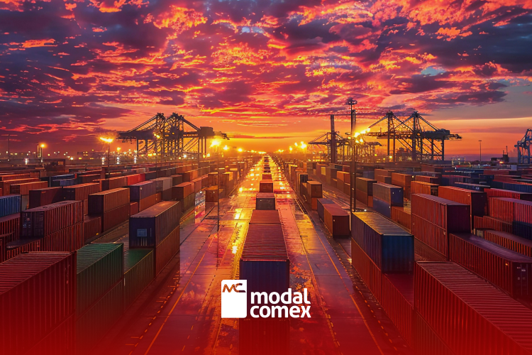 Expansion of the Single Import Declaration Accelerates the Modernization of Brazilian Imports
